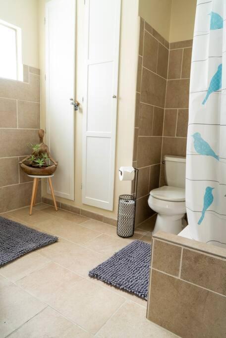 Close To Beaches & Night Life - Maison D'oiseaux Holiday home *